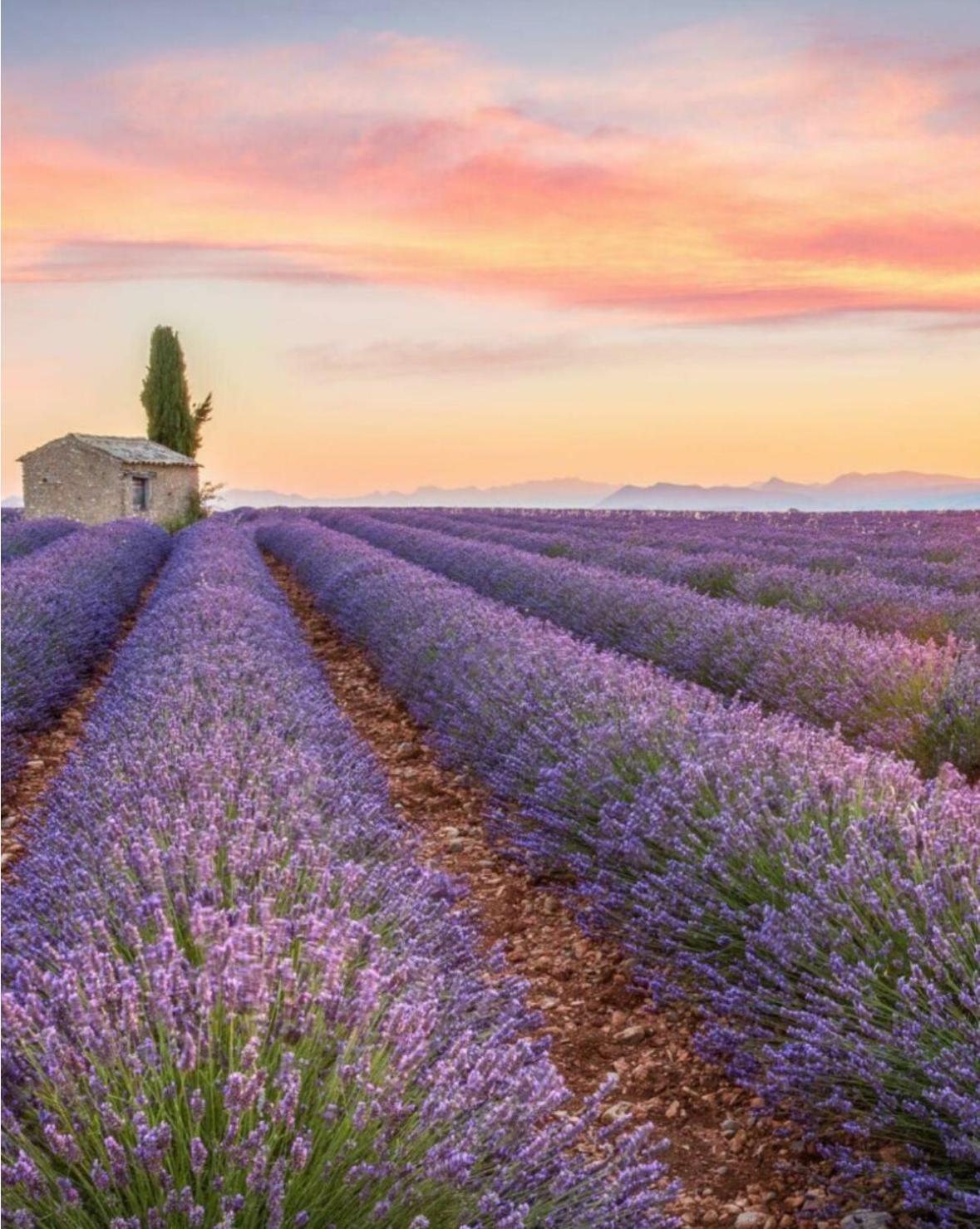 Fuvolea, Maison De Vacances A 15 Min Du Centre D'Aix-En-Provence, Piscine Chauffee En Saison - Jardin - Parking Prive Gratuit Fuveau Dış mekan fotoğraf